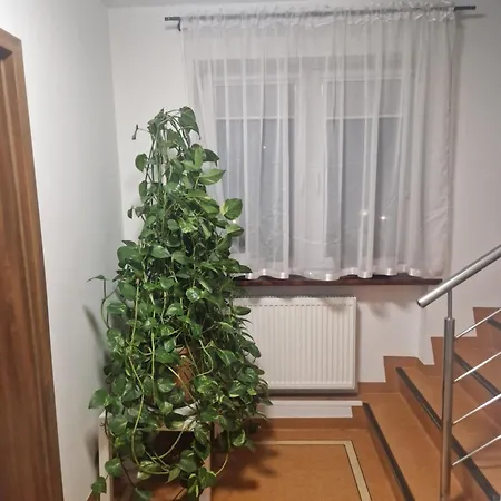 Noclegi Budomas Budget - Szymanow - Freeparking *