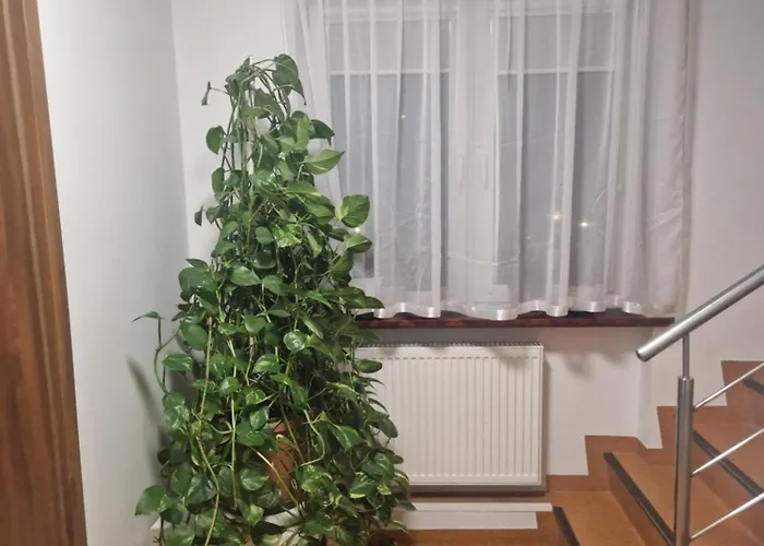 Budomas Budget Wroclaw-szymanow Freeparking Smarttv *